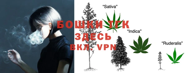 сатива Балабаново