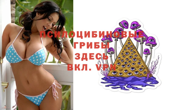 сатива Балабаново