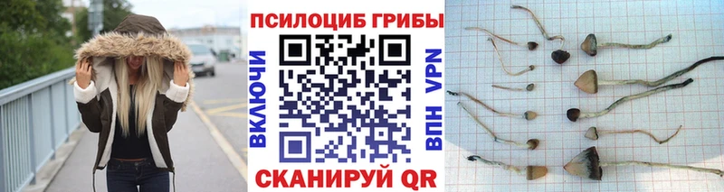 наркотики  Краснообск  Галлюциногенные грибы мицелий 