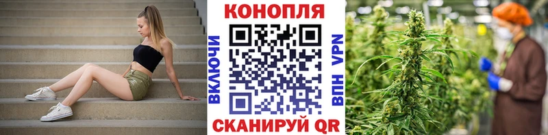 Бошки Шишки ГИДРОПОН  продажа наркотиков  Краснообск 
